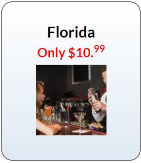 Florida bartender license
