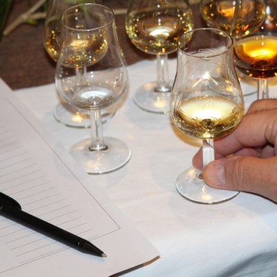 Four different glasses of alcoholic beverages, ranging from light to dark spirits/beer